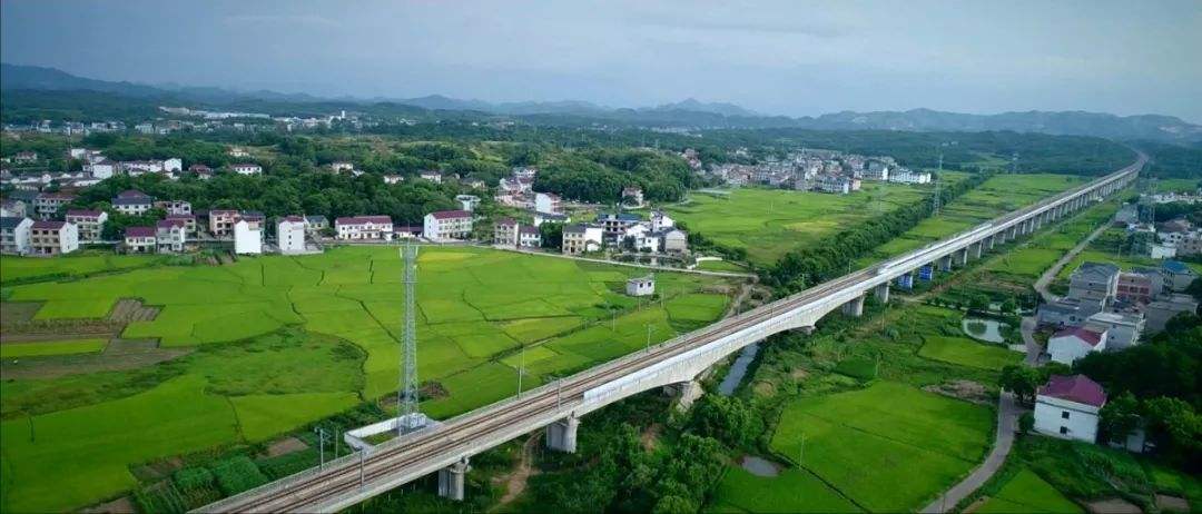 “又中标啦?又中标啦!” “又中标啦?又中标啦!”