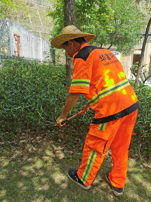 城市环卫绿化管养包括哪些事项 城市环卫绿化管养包括哪些事项